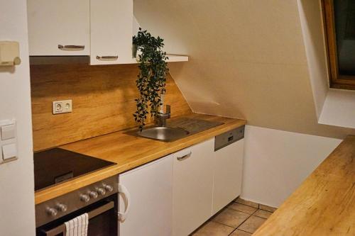 维也纳Beautiful Rooftop Apartment的厨房配有水槽和台面