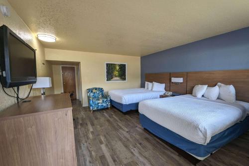 盖恩斯维尔戴斯酒店 - 大学的酒店客房设有两张床和一台平面电视。