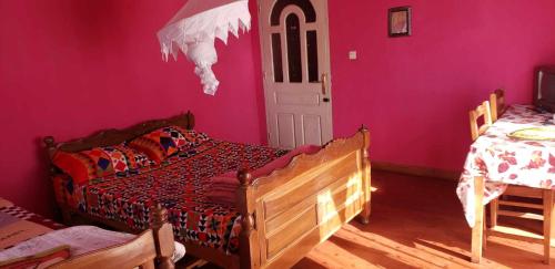 塔那那利佛Antsaly的一间卧室设有两张床和粉红色的墙壁