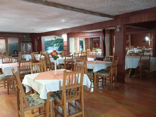 卡斯特鲁ALERCE NATIVO HOTEL的餐厅设有桌椅,并种有鲜花