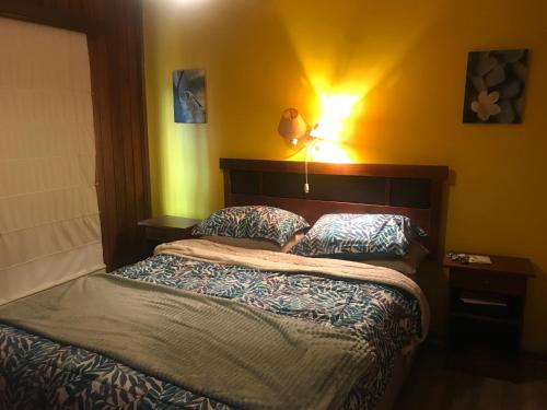 维纳德马Se arrienda casa Reñaca Bajo的一间卧室配有一张带两个枕头的床