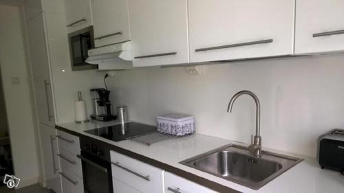 库奥皮奥City Apartment Snellmaninkatu 22 A的厨房配有水槽和台面