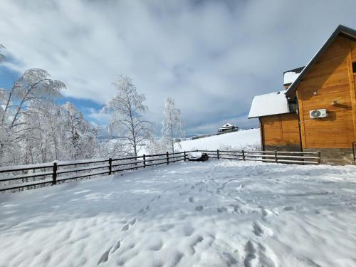 兹拉蒂博尔LUX PINE house的小屋前的雪覆盖院子