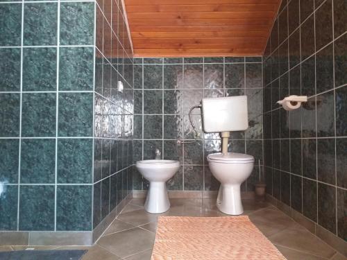 比哈奇Apartman Ramić的一间带卫生间和绿色瓷砖墙壁的浴室