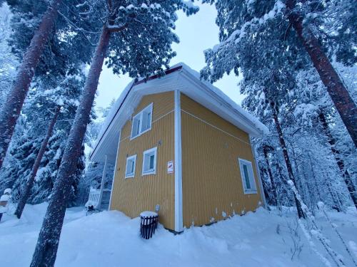 罗瓦涅米Lapland Forest Lodge的雪中树林里的一个小黄色建筑