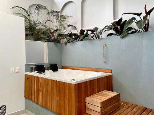 麦德林Lalinde by Wynwood House的植物间里的一个浴缸