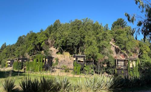 孔斯蒂图西翁Reserva los Bollenes的一座树木茂密的山丘上的古老建筑