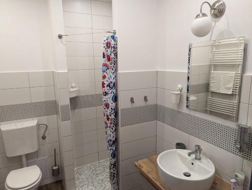 克塞洛Várfal apartman的一间带卫生间和水槽的浴室