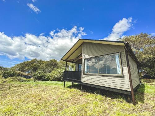 安加罗阿Maunga Roa Eco Lodge的坐在草地顶上的一个小房子