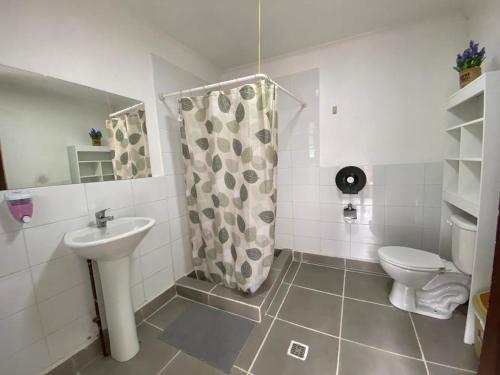 帕普多Hostal La Casona的浴室配有水槽、卫生间和浴帘
