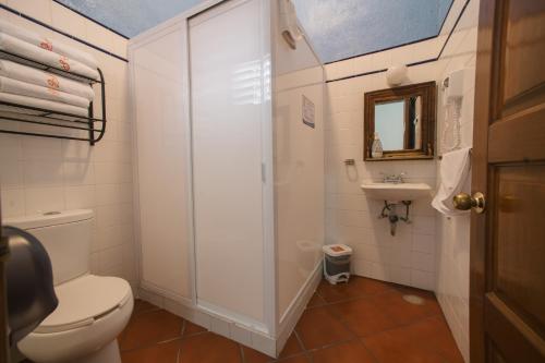 瓦哈卡市Hotel Suites Del Centro的一间带卫生间和水槽的浴室