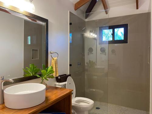 霍普金斯Coconut Row Boutique Hotel的一间带水槽、卫生间和淋浴的浴室