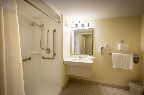 Stellarton斯特拉顿 - 新格拉斯哥智选假日酒店 的带淋浴和盥洗盆的浴室