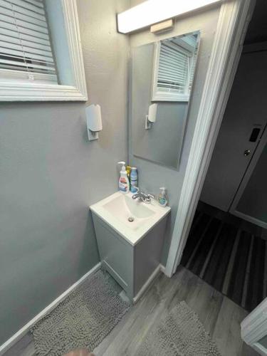 新不伦瑞克Cozy and affordable suite (near Rutgers, smartTV)的一间带水槽和镜子的浴室