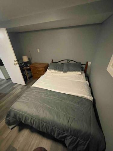 新不伦瑞克Cozy and affordable suite (near Rutgers, smartTV)的一间卧室,卧室内配有一张大床