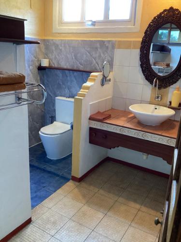 拉戈莱特拉莱因克里奥尔酒店的一间带水槽和卫生间的浴室