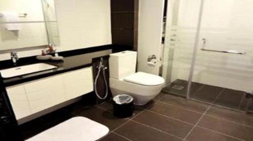 HarbelTIME Royal Ambassador Hotel的浴室配有卫生间、盥洗盆和淋浴。