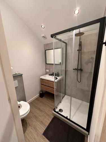 马斯特里赫特luxe pas gerenoveerd monumentaal appartement的带淋浴、卫生间和盥洗盆的浴室