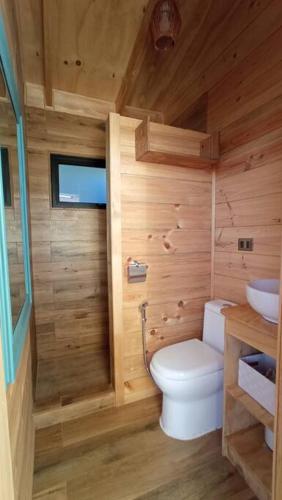 库雷尼佩Cabañas Orca Lodge Norte vista panoramica的一间带卫生间和水槽的小浴室