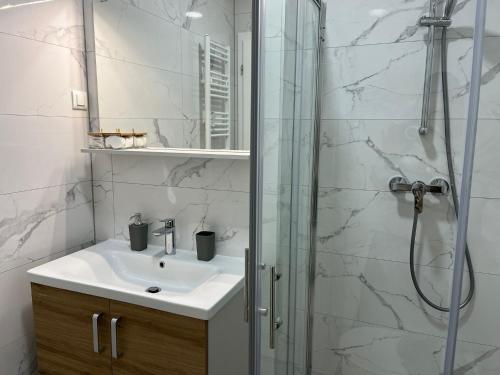 查科韦茨City Luxe Apartment的一间带水槽和淋浴的浴室
