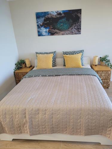 San MarcosCosy ocean view studio 2的一间卧室配有一张带黄色枕头的大床