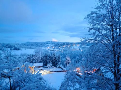 芬肯施泰因Sunwood Apartment-Ferienwohnung mit Herz的夜间积雪覆盖的村庄