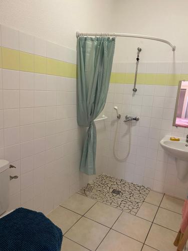 滨海苏拉克Soulac Studio Jo Centre et Plage的浴室配有淋浴帘和盥洗盆。