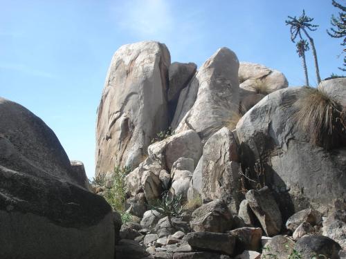 MigoriQyani Country Side Stay的一大堆棕榈树的岩石
