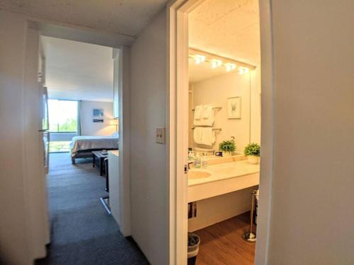 拉科尼亚Cute Cedar Lodge Studio with Balcony & Lake Views!的一间带水槽和大镜子的浴室