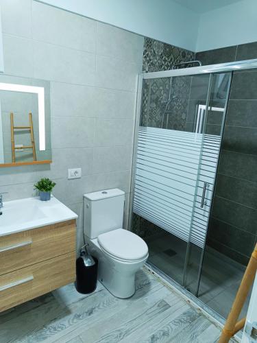 圣克鲁斯-德特内里费Apartamento Meraki的一间带卫生间和玻璃淋浴间的浴室