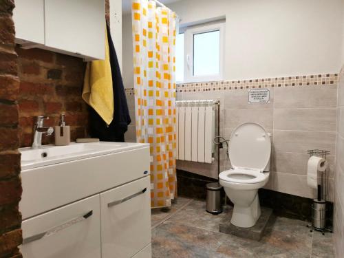 百乐·奥拉内斯蒂Casa Tihna的一间带卫生间和水槽的浴室