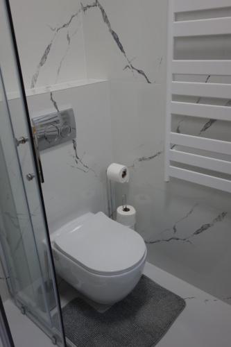 萨莫博尔City Centre Samobor的浴室设有白色卫生间和大理石墙壁。