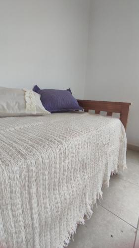 比亚瓜伊Alamos David的床上有一条白色的毯子