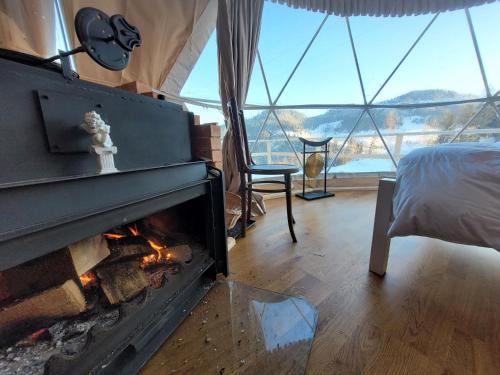 Cucu Zen Dome Cabana Cazare Bucovina的一间卧室设有壁炉和一张美景床。