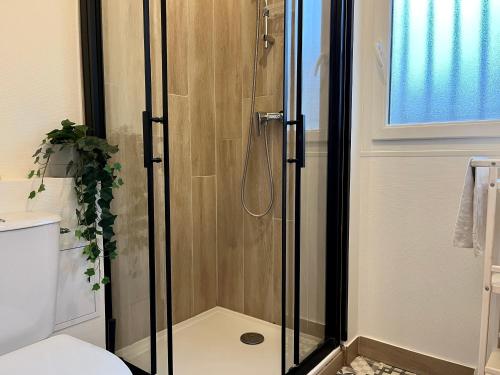 诺伊斯·勒·格兰德Appartement Proche de Disneyland & Paris的浴室里设有玻璃门淋浴