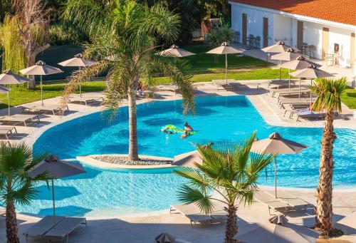 科林比亚Blue Sea Island的享有游泳池的顶部景色,游泳池拥有棕榈树和遮阳伞