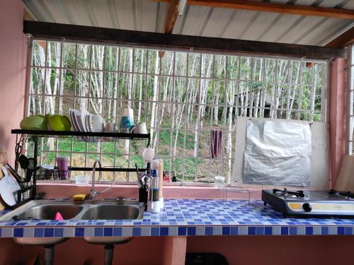 BalingHomestay Teratak D`kemangi with Private Pool的一个带水槽和大窗户的厨房