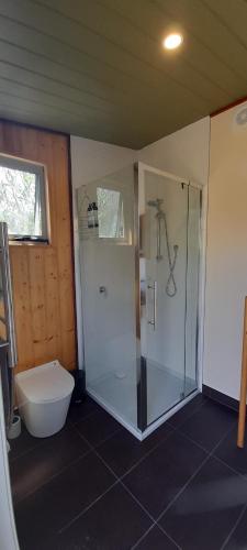 AlonnahKaoru on Bruny的带淋浴和卫生间的浴室