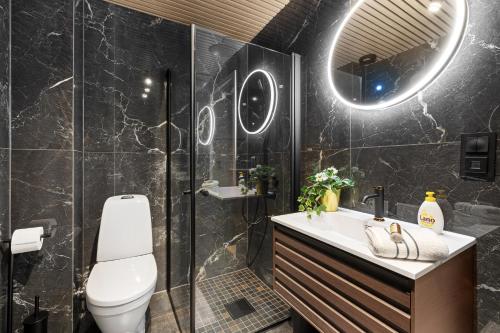 卑尔根Apartments Bergen free parking的一间带卫生间、水槽和镜子的浴室
