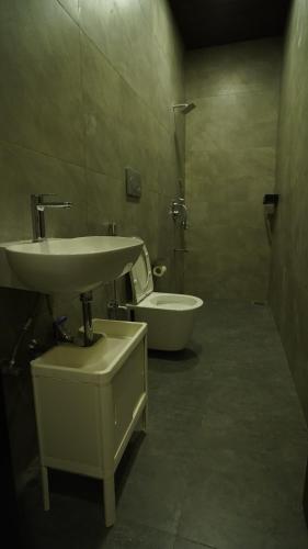 孟买The Colaba Pod的一间带水槽和卫生间的浴室