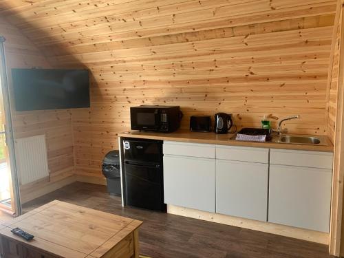 KeltyPond View Pod 2 with Private Hot Tub -Pet Friendly- Fife - Loch Leven - Lomond Hills的厨房配有带水槽和微波炉的台面