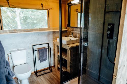 德罗伊特威奇Fibden Farm Glamping - Luxury Safari Lodge的浴室配有卫生间、盥洗盆和淋浴。