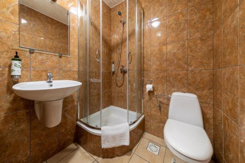 别尔斯克-比亚拉B&B Widok的带淋浴、卫生间和盥洗盆的浴室