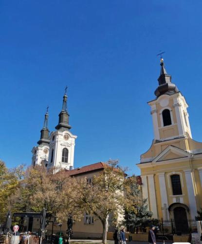 斯雷姆斯基卡尔洛夫奇Double queen room in Sremski karlovice center的两座楼,楼前有树