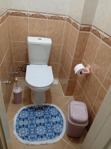 伊斯坦布尔Hisar Apartments的一间带卫生间和蓝色地毯的浴室