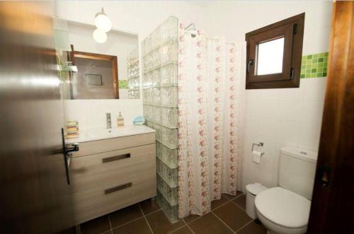 洛斯卡尼奥斯德梅卡La casita的一间带卫生间和淋浴帘的浴室