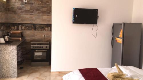 赫尔格达Villamar Sea View的带冰箱的厨房和墙上的电视