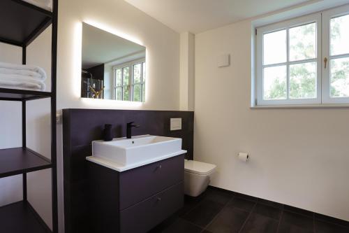 不来梅·弗格萨克Exklusives Reetdachhaus in der Bremer Schweiz的一间带水槽、卫生间和镜子的浴室