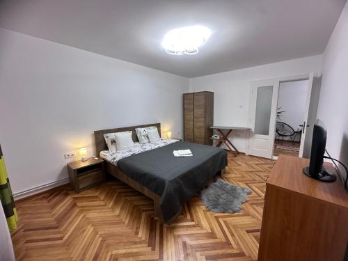 克卢日-纳波卡Camelia's Apartment的一间卧室配有一张床和一台电视