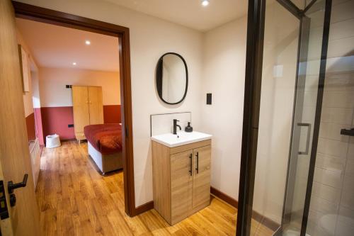 兰鲁斯特RWST Holiday Lodges的一间带水槽、镜子和淋浴的浴室